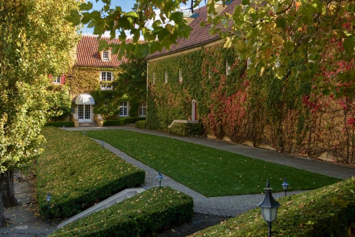 View of a house with vines on the exterior