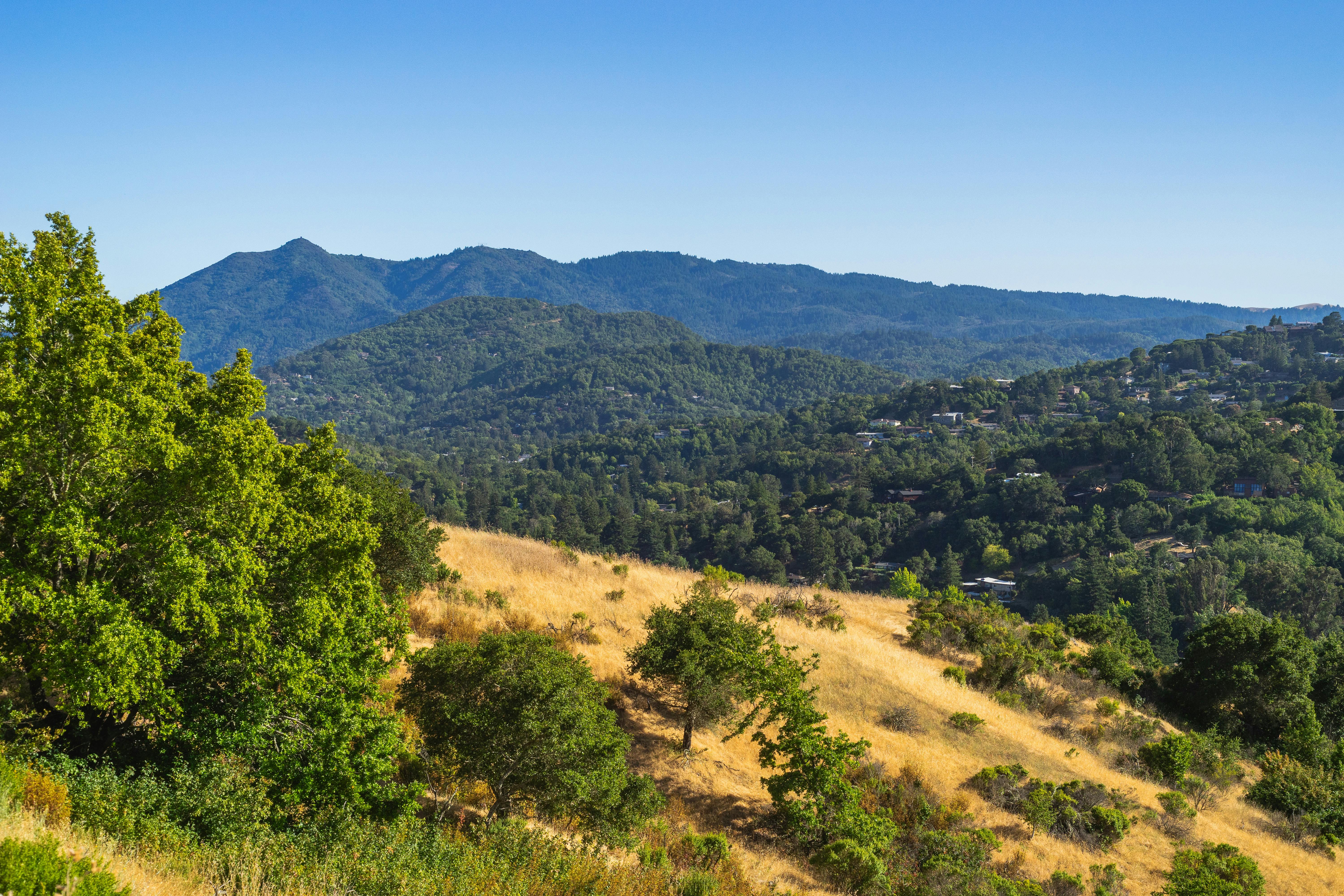 Feature image for Marin: August 2025 Market Stats