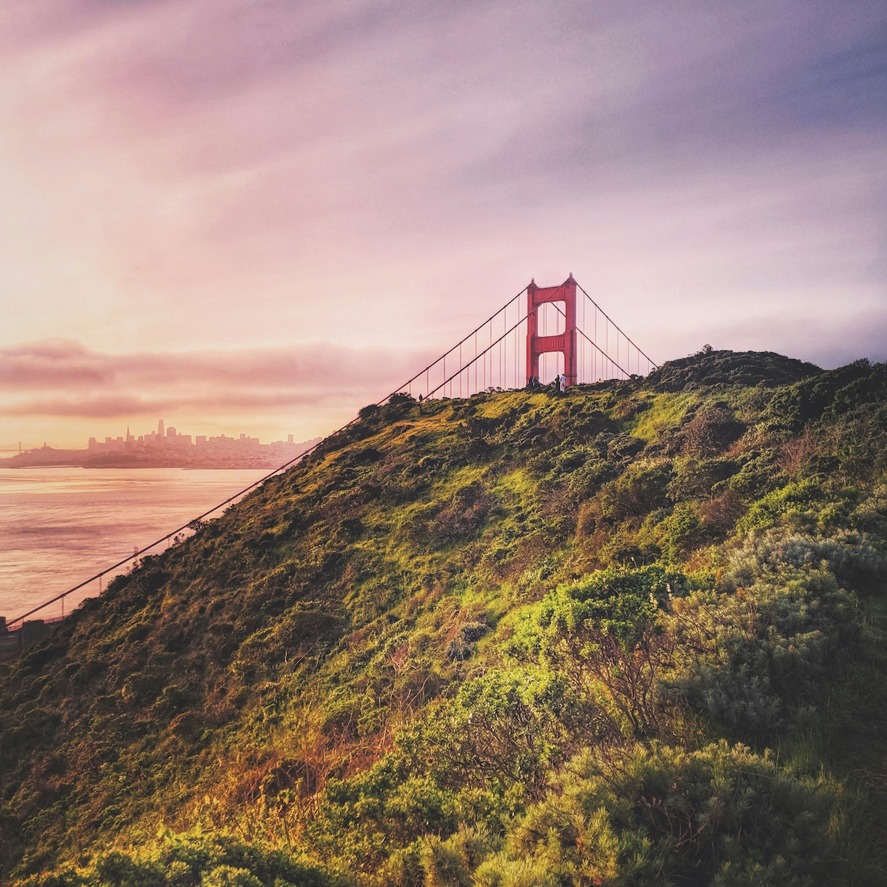 Feature image for Marin: October 2025 Market Stats