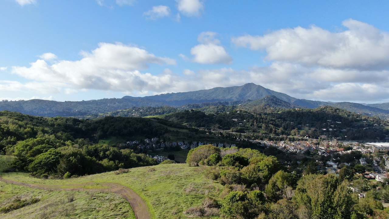 Feature image for Marin: November 2025 Market Stats