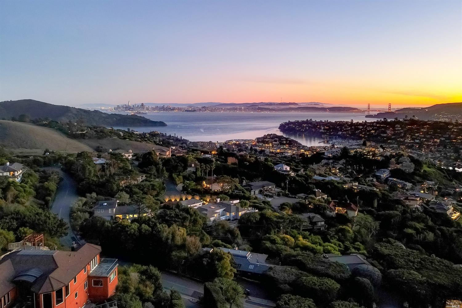 Image of Tiburon